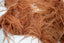 Brownish Orange Natural Ostrich Feather Fringes