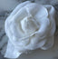 White Cotton Camellia