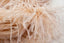 Nude Natural Ostrich Feather Fringes