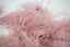 Dusty Rose Natural Ostrich Feather Fringes