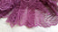 Purple Chantilly Lace Trim