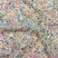 Sequined Georgette Multicolor