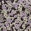 Rayon Lilac Floral