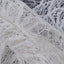 Vera Wang French Ivory Embroidered Lace