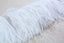 Off White Natural Ostrich Feather Fringes