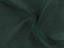 Chiffon Denier Dark Green